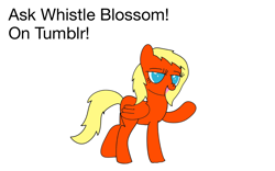 Size: 1280x800 | Tagged: safe, artist:whistle blossom, imported from derpibooru, oc, oc only, oc:whistle blossom, pegasus, pony, ask whistle blossom, female, mare, open mouth, simple background, solo, tumblr, white background