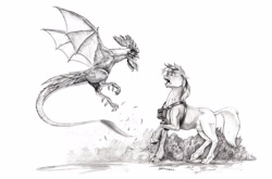 Size: 1600x1056 | Tagged: safe, artist:baron engel, imported from derpibooru, oc, cockatrice, pony, unicorn, grayscale, male, monochrome, pencil drawing, petrification, simple background, stallion, story included, traditional art, white background