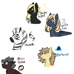 Size: 538x538 | Tagged: safe, artist:mew, imported from derpibooru, oc, oc only, oc:bluebonnet, oc:bright lights, oc:moonfritter, oc:vanilla gale, oc:zuberi, pegasus, zebra, bust, cutie mark, female, mare, portrait, quadrupedal, simple background, white background, zoomorphic