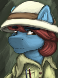 Size: 724x974 | Tagged: safe, artist:tekggd, imported from derpibooru, oc, oc only, oc:jungle trek, pony, bust, clothes, das vaterland, hat, male, portrait, solo