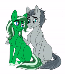 Size: 4732x5426 | Tagged: safe, artist:celestial-rainstorm, imported from derpibooru, oc, oc only, oc:emerald snow, oc:steel mustang, earth pony, pony, absurd resolution, female, male, mare, simple background, stallion, white background