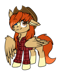 Size: 1258x1555 | Tagged: safe, artist:rokosmith26, imported from derpibooru, oc, oc only, oc:rose acre, pegasus, pony, chibi, clothes, eyepatch, female, floppy ears, hat, long hair, long mane, looking up, mare, orange eyes, shirt, simple background, smiling, solo, transparent background