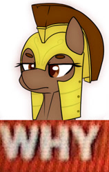 Size: 288x457 | Tagged: safe, artist:anonymous, artist:omiilett studios, edit, imported from derpibooru, oc, oc only, oc:honour bound, earth pony, pony, fanfic:everyday life with guardsmares, /mlp/, 4chan, armor, earth pony oc, everyday life with guardsmares, female, frown, guardsmare, mare, meme, reaction image, royal guard, royal guard armor, text, why