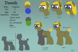 Size: 6000x4000 | Tagged: safe, artist:donnik, imported from derpibooru, oc, oc only, oc:donnik, pegasus, pony, clothes, glasses, jewelry, reference sheet, solo, sweater