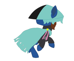 Size: 1200x1000 | Tagged: safe, artist:derpy_the_duck, imported from derpibooru, oc, oc only, oc:derp, earth pony, pony, cape, clothes, dust: an elysian tail, hat, outfit, solo