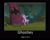 Size: 999x800 | Tagged: safe, artist:thejboy88, edit, edited screencap, imported from derpibooru, screencap, pinkie pie, pony, friendship is magic, season 1, everfree forest, laughter song, motivational poster, scary tree, solo, tree