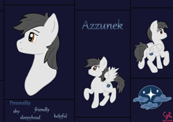 Size: 2480x1754 | Tagged: safe, artist:dumbprincess, imported from derpibooru, oc, oc:azzunek, pegasus, pony, bust, cutie mark, dark background, front view, full body, multiple views, rear view, reference sheet, side view, text