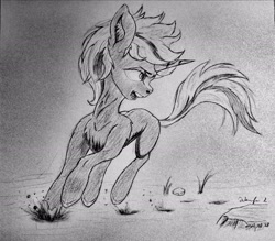 Size: 2048x1797 | Tagged: safe, imported from derpibooru, oc, oc:velvet remedy, unicorn, fallout equestria, glare, monochrome, open mouth, sketch, traditional art, war face