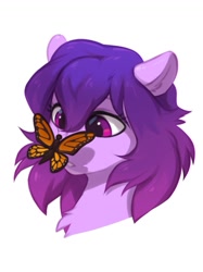 Size: 823x1101 | Tagged: safe, artist:vistamage, imported from derpibooru, oc, oc only, oc:share dast, butterfly, pony, bust, butterfly on nose, chest fluff, insect on nose, simple background, solo, white background