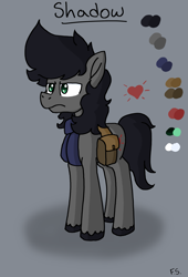 Size: 3403x5000 | Tagged: safe, artist:dark shadow, imported from derpibooru, oc, oc only, earth pony, pony, bag, frown, reference sheet, saddle bag, solo