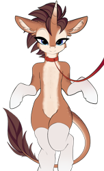 Size: 2642x4357 | Tagged: artist needed, source needed, safe, imported from derpibooru, oc, oc only, oc:case, leash, looking at you, simple background, transparent background