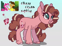 Size: 2235x1668 | Tagged: safe, artist:caramelbolt24, imported from derpibooru, screencap, cheese sandwich, pinkie pie, oc, earth pony, pony, pinkie pride, abstract background, clothes, ear fluff, earth pony oc, female, looking up, male, mare, offspring, open mouth, parent:cheese sandwich, parent:pinkie pie, parents:cheesepie, screencap reference, signature, smiling, smilingmare, stallion, unshorn fetlocks