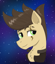 Size: 1789x2087 | Tagged: safe, artist:dyonys, imported from derpibooru, oc, oc:night chaser, earth pony, bust, clothes, fluffy, handsome, jacket, male, night, night sky, scar, sky, smiling, stallion, stars