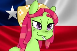 Size: 612x408 | Tagged: safe, edit, editor:tcgamebot, imported from derpibooru, tree hugger, earth pony, pony, chile, drugs, female, mare, smoking, solo