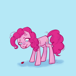 Size: 2200x2200 | Tagged: safe, artist:zowzowo, imported from derpibooru, pinkie pie, earth pony, insect, ladybug, pony, cute, pink, simple, solo, tongue out