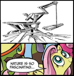 Size: 734x757 | Tagged: safe, edit, idw, imported from derpibooru, fluttershy, pegasus, pony, dododo de dadada, exploitable meme, jojo's bizarre adventure, jojolion, meme, nature is so fascinating, obligatory pony, rock insect, spoilers for another series