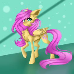 Size: 1024x1024 | Tagged: safe, artist:galaxynight100, imported from derpibooru, fluttershy, pegasus, pony, chest fluff, cute, ear fluff, female, looking at you, mare, raised hoof, shyabetes, solo