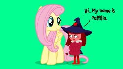 Size: 1920x1080 | Tagged: safe, artist:ianpony98, artist:luckreza8, imported from derpibooru, fluttershy, oc, oc:puffilia, butterfly, human, boots, clothes, coat, crossover, hat, human and pony, interaction, oc and canon, red skin, shoes, witch, witch hat