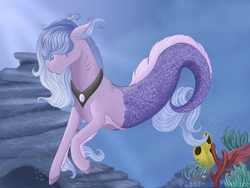 Size: 1600x1200 | Tagged: safe, artist:platinumfeather2002, imported from derpibooru, oc, oc only, merpony, starfish, bubble, coral, crepuscular rays, deviantart watermark, fins, fish tail, flowing mane, flowing tail, jewelry, necklace, obtrusive watermark, ocean, rock, seaweed, solo, swimming, tail, underwater, water, watermark
