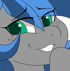 Size: 663x673 | Tagged: safe, artist:littlebibbo, imported from derpibooru, oc, oc only, oc:bibbo, pegasus, pony, close-up, eye clipping through hair, female, freckles, looking at you, mare, raised hoof, smiling, smug, solo, stare