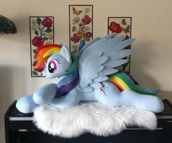 Size: 764x636 | Tagged: safe, artist:purplenebulastudios, imported from derpibooru, rainbow dash, pegasus, pony, irl, life size, lying down, photo, plushie, prone, solo, spread wings, wings