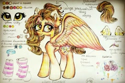 Size: 720x478 | Tagged: safe, artist:maryhoovesfield, imported from derpibooru, oc, oc only, pegasus, pony, chest fluff, choker, clothes, cyrillic, ear fluff, eyelashes, flower, pegasus oc, reference sheet, rose, russian, signature, smiling, socks, solo, striped socks, traditional art, wings