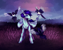 Size: 2500x2000 | Tagged: safe, artist:firewoodtemple, imported from derpibooru, soarin', bird, magpie, solo