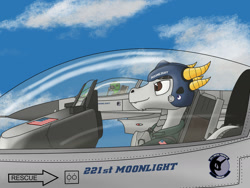 Size: 1280x960 | Tagged: safe, artist:zocidem, imported from derpibooru, oc, oc only, oc:nugget, oc:wrench, dragon, earth pony, pony, airforce, clothes, cockpit, f-16, f-16 fighting falcon, f16 viper, flag, helmet, jet, jet fighter, uniform, united states