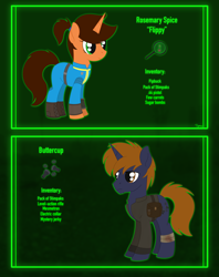 Size: 2474x3131 | Tagged: safe, artist:dyonys, imported from derpibooru, oc, oc:buttercup, oc:rosemary "flippy" spice, pony, unicorn, fallout equestria, clothes, commission, cutie mark, fallout, female, male, mare, pipbuck, reference sheet, stallion, text