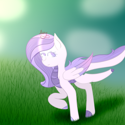 Size: 2000x2000 | Tagged: safe, artist:thecommandermiky, imported from derpibooru, oc, oc only, oc:commander miky, dracony, dragon, hybrid, pony, grass, grass field, solo