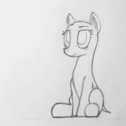 Size: 977x977 | Tagged: safe, oc, earth pony, pony, hairless, monochrome, simple background, sitting, traditional art