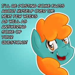 Size: 540x540 | Tagged: safe, imported from derpibooru, oc, oc only, oc:nessie, oc:nessie (bronyscot), pony, bronyscot, mascot, simple background, solo, tumblr