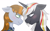 Size: 3500x2200 | Tagged: safe, artist:cherrycandi, imported from derpibooru, oc, oc:littlepip, oc:velvet remedy, pony, unicorn, fallout equestria, blushing, clothes, couple, cute, duo, eyelashes, female, floppy ears, jumpsuit, lesbian, looking at each other, profile, shipping, simple background, smiling, smiling at each other, vault suit, velvetpip, white background