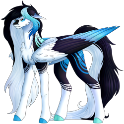 Size: 3412x3409 | Tagged: safe, artist:amcirken, imported from derpibooru, oc, oc only, oc:koda, pegasus, pony, chest fluff, colored wings, male, multicolored wings, simple background, solo, stallion, transparent background, wings
