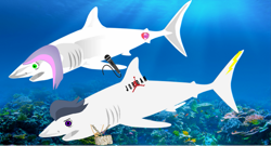 Size: 1215x658 | Tagged: safe, artist:jawsandgumballfan24, imported from derpibooru, rumble, sweetie belle, shark, cutie mark, female, male, microphone, ocean, rumble shark, shark belle, species swap, underwater