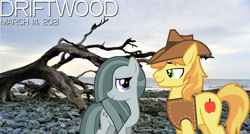 Size: 2064x1105 | Tagged: safe, anonymous artist, imported from derpibooru, braeburn, marble pie, earth pony, beach, braeble, cloud, daytime, driftwood, duet, female, looking at each other, lyrics in the description, male, mare, ocean, rock, shipping, smiling, song reference, stallion, straight, winter, youtube link in the description