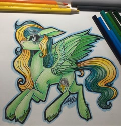 Size: 1080x1127 | Tagged: safe, artist:moshi.poni, imported from derpibooru, oc, oc only, pegasus, pony, eyelashes, female, irl, mare, pegasus oc, photo, signature, solo, traditional art, unshorn fetlocks, wings