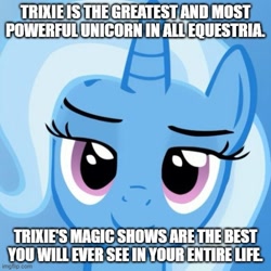 Size: 500x500 | Tagged: safe, edit, imported from derpibooru, trixie, pony, unicorn, caption, female, great and powerful, image macro, imgflip, impact font, mare, meme, solo, text, third person, trixie yells at everything