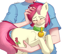 Size: 2500x2152 | Tagged: safe, artist:chibadeer, imported from derpibooru, roseluck, earth pony, human, pony, behaving like a cat, blushing, chest fluff, collar, commission, commissioner:doom9454, cute, cuteluck, ear fluff, eyes closed, fluffy, holding a pony, human on pony petting, pet tag, petting, pony pet, purring, rosabetes, rosepet