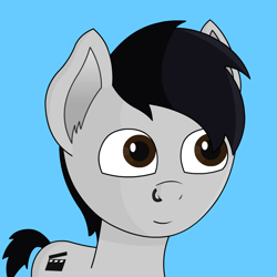 Size: 800x800 | Tagged: safe, artist:samquakbrony, imported from derpibooru, oc, oc only, pony, solo