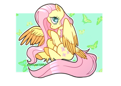 Size: 1280x905 | Tagged: safe, artist:blueonegone, imported from derpibooru, fluttershy, butterfly, pegasus, pony, colored hooves, cute, female, looking at you, mare, one wing out, outline, partial background, profile, raised hoof, shyabetes, sitting, solo, tail feathers, two toned wings, unshorn fetlocks, white outline, wings