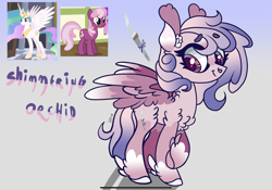 Size: 2388x1668 | Tagged: safe, artist:caramelbolt24, imported from derpibooru, screencap, cheerilee, princess celestia, oc, oc:shimmering orchid, alicorn, earth pony, pegasus, pony, crack ship offspring, ear fluff, eyelashes, feathered fetlocks, female, gradient background, horn, magical lesbian spawn, mare, offspring, parent:cheerilee, parent:princess celestia, parents:cheerilestia, pegasus oc, peytral, screencap reference, signature, wings