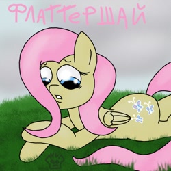Size: 1024x1024 | Tagged: safe, artist:a-jaller, imported from derpibooru, fluttershy, pegasus, pony, cyrillic, female, grass, looking down, lying down, prone, russian, sad, solo, teeth