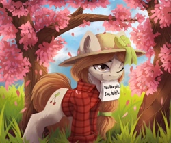 Size: 2216x1855 | Tagged: safe, artist:hitbass, imported from derpibooru, oc, oc only, earth pony, pony, cherry blossoms, clothes, commission, ear fluff, female, flower, flower blossom, grass, hat, mare, mouth hold, note, one eye closed, scenery, shirt, smiling, solo, tree