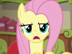 Size: 480x360 | Tagged: safe, imported from derpibooru, screencap, fluttershy, pegasus, pony, flutter brutter, animated, cropped, female, looking at you, mare, solo, sound, talking, webm