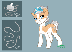 Size: 1100x800 | Tagged: safe, artist:joan-grace, imported from derpibooru, oc, oc only, oc:frosty rose, earth pony, pony, coat markings, female, hairband, mare, offspring, parent:applejack, parent:double diamond, parents:applediamond, reference sheet, solo