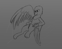 Size: 2800x2200 | Tagged: safe, artist:somber, imported from derpibooru, oc, oc only, griffon, flying, griffon oc, male, sad, sketch, solo