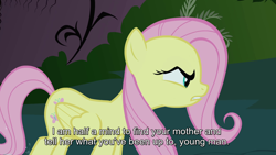 Size: 1920x1080 | Tagged: safe, imported from derpibooru, screencap, fluttershy, pegasus, pony, stare master, abuse, angry, everfree forest, female, mare, solo, subtitles, teeth