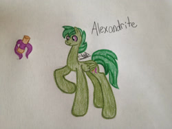 Size: 2048x1536 | Tagged: safe, artist:akajulester, imported from derpibooru, oc, oc only, oc:alexandrite, dracony, dragon, hybrid, pegasus, pony, colored pencil drawing, colt, cutie mark, interspecies offspring, male, offspring, parent:rarity, parent:spike, parents:sparity, scroll, solo, traditional art