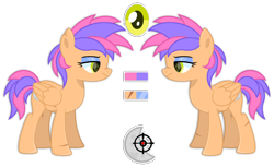 Size: 4096x2500 | Tagged: safe, artist:ponkus, imported from derpibooru, oc, oc only, oc:nimbus, pegasus, pony, female, mare, reference sheet, solo